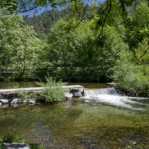 20180511_7445 20180511_7445