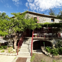 20190620_095955 20190620_095955